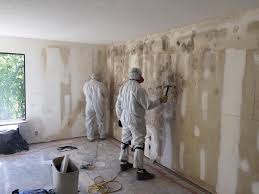 Best Mold Damage Restoration  in Wanamingo, MN